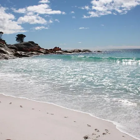 Binalong Beach Cottage Beachfront At Bay Of Fires Next To Restaurant Binalong Bay Exterior photo