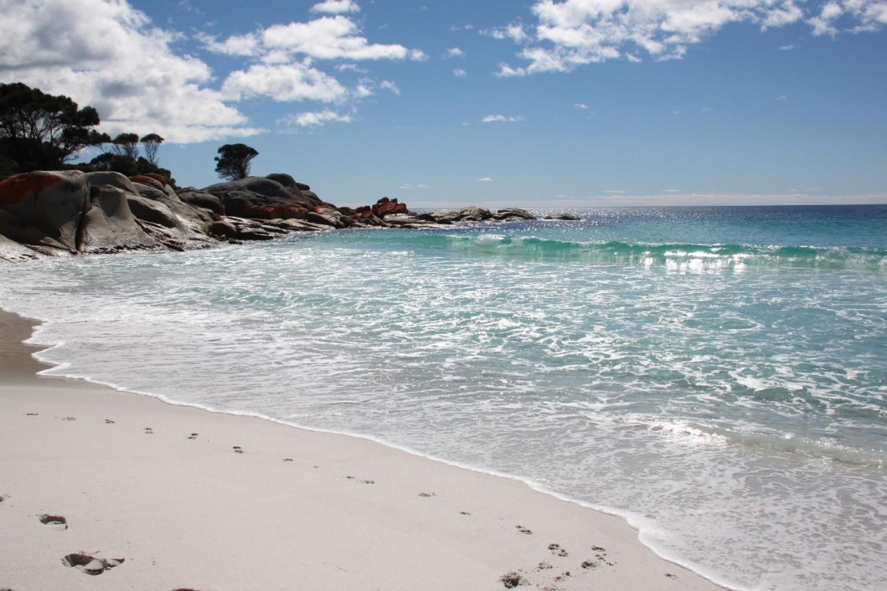 Binalong Beachfront At Bay Of Fires Next To Restaurant Holiday home Binalong Bay
